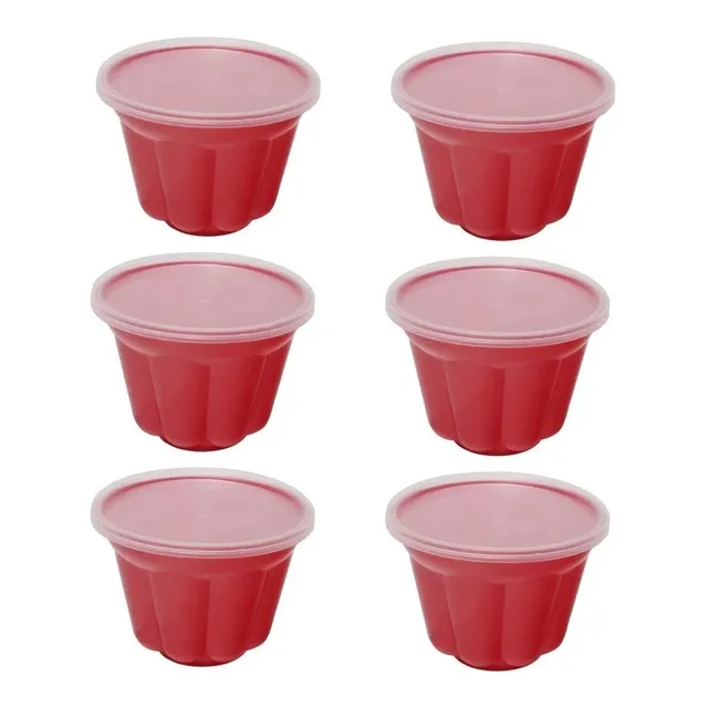 Set Moldes Para Flan Y Gelatina Por 6und Plasutil