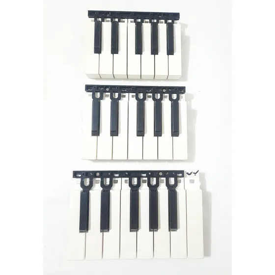 3 Oitavas Completas Para Korg Microkorg Xl