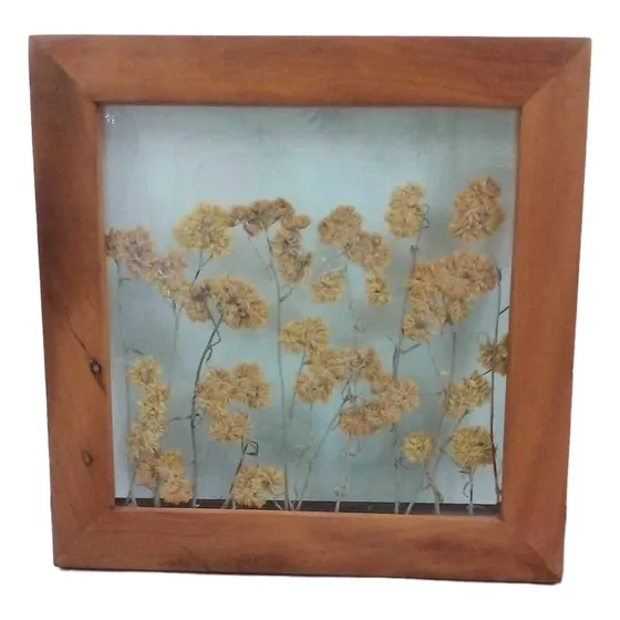 Quadro Madeira Demolição Flor Macela Desidratada 25 Cm