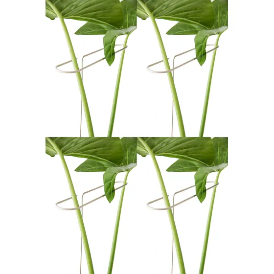 Pack Por 4 Tutor Para Plantas 60cm Hierro Macizo Verde Ingles