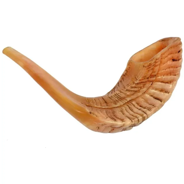 Shofar Trompeta Carnero Kosher 14 Pulgadas