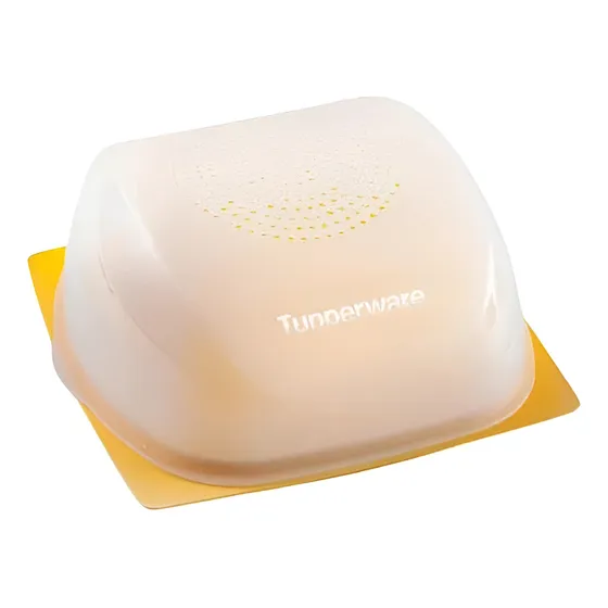 Tuppeware Smart Queijeira
