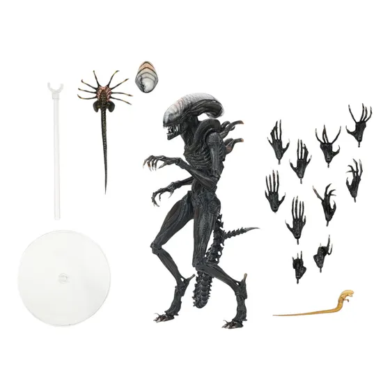 Neca Alien Romulus Scorched Xenomorph Figura Special 30 Cm