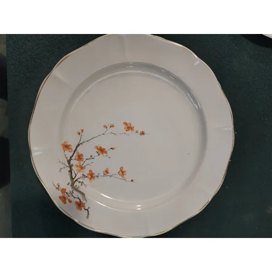 Platos Porcelana Olmos Renacimiento