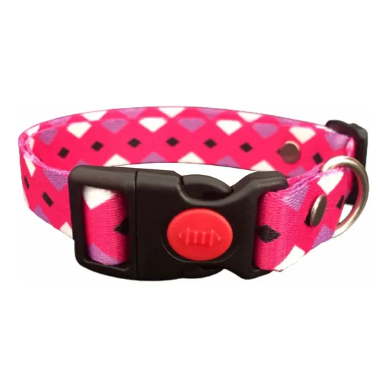 Collar Para Perro  Talla M  Broche Seguridad