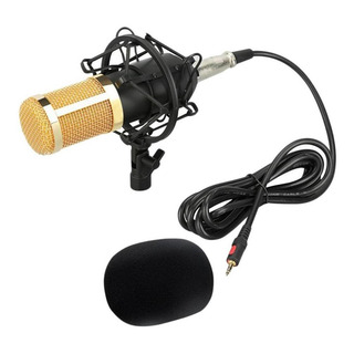 Micrófono Condensador Gran Diafragma Sonido Cables Xlr 1x Micrófono Condensador Gran Diafragma Sonido Cables Xlr 1x