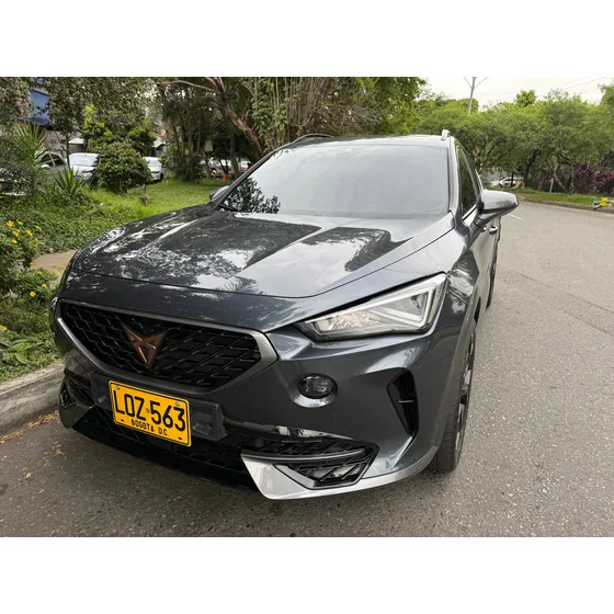 Cupra Formentor 2.0 Tsi Metalizado Dsg