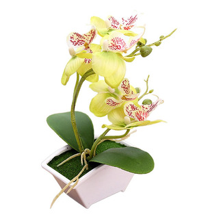 Mariposa Artificial Orquídea Bonsai Flor Falsa Maceta Mariposa Artificial Orquídea Bonsai Flor Falsa Maceta