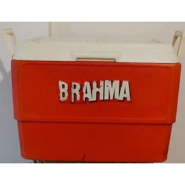 Cava Playera Térmica 50l