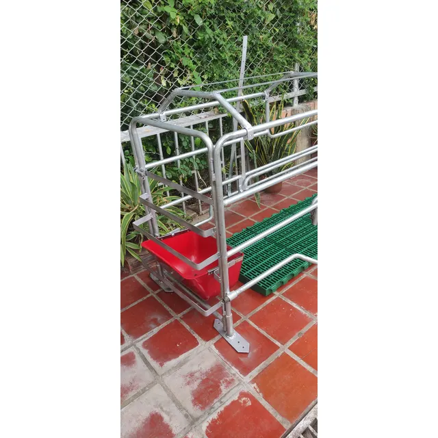 Jaula Materna Para Cochinos