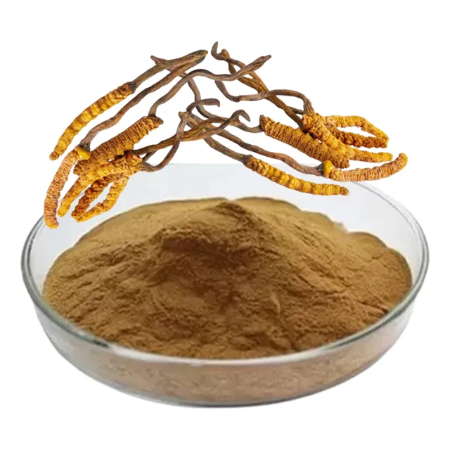 Cordyceps Militaris Extracto Atomizado Polvo 100 Gramos