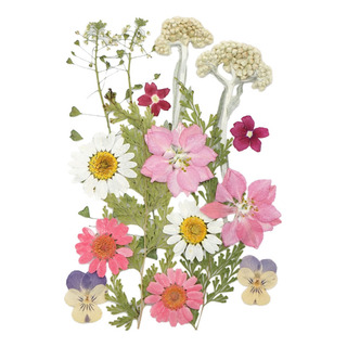 Combinación De Flores Secas Naturales Para Decoración De Flo Combinación De Flores Secas Naturales Para Decoración De Flo
