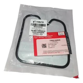 Empaque De Punterías Hero Hunk 160r 2v