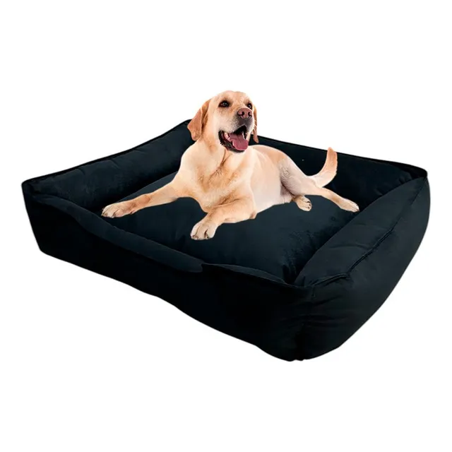 Cama Tipo Sofá Antialérgica Perros Grandes Xxl