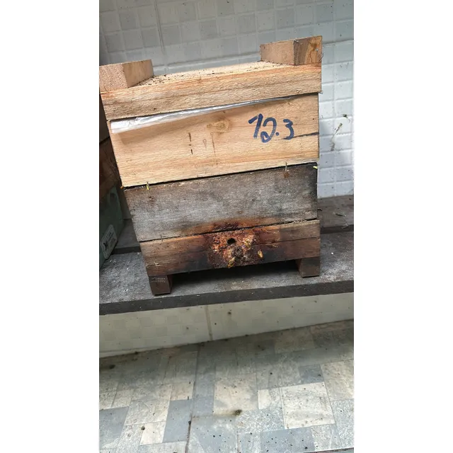 Abelha Bugia (uruçu Amarela)