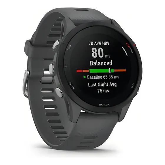 Smartwatch Garmin, Forerunner 255 Slate/gris