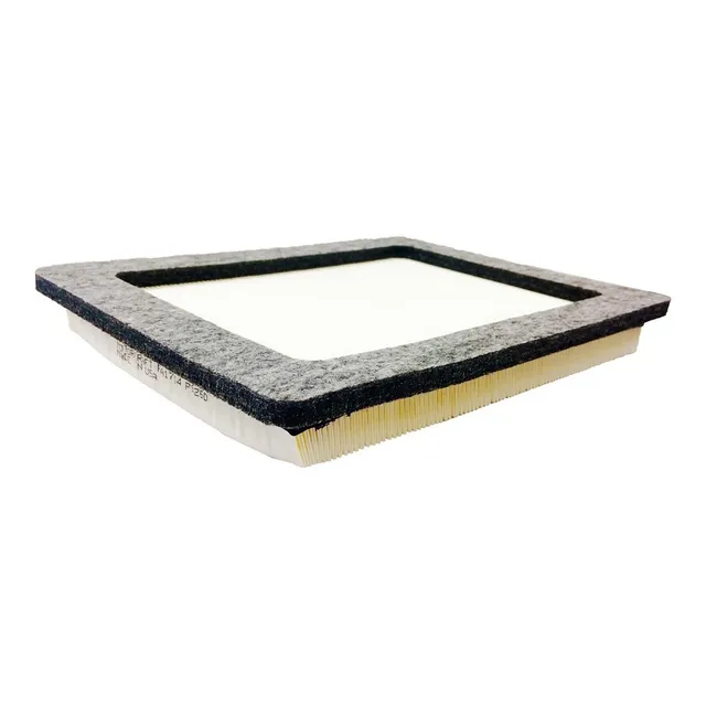 Filtro Aire Motor Ford F350 Triton F150 Fx4 Expedition 5.4