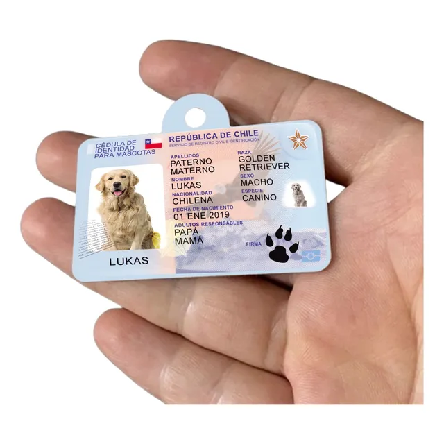Placa Metal Para Mascotas Carnet Cedula Identidad 