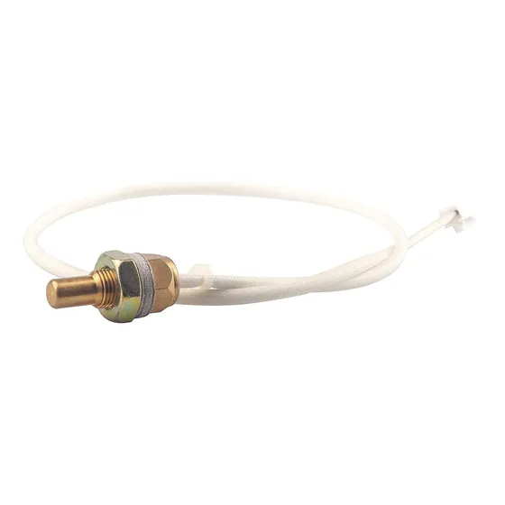 Repuesto Para Sensor Termico Gmg Parrilla Pelets Green 5