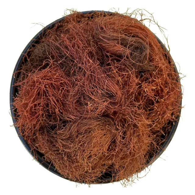 Estigma De Maiz Barba De Choclo Deshidratada 1kg | Sir Neko