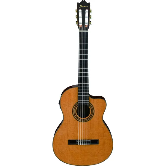 Ibanez Ga Serie Guitarra Clasca Cutaway Electroacustica