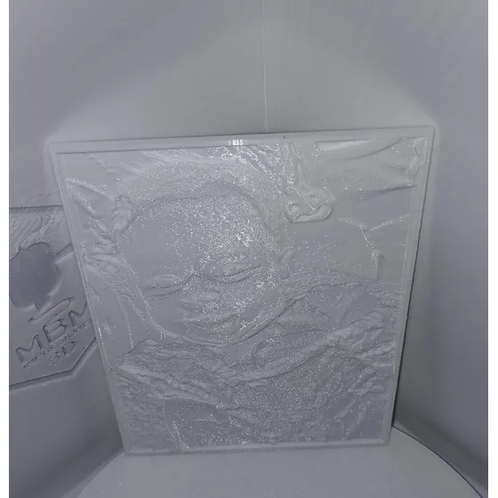 Solo Foto 3d 12x16cm (litofanía) Sin Marco Led