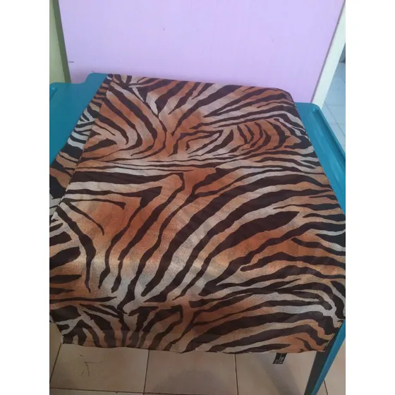 Pañoleta De Seda Para Dama Usada