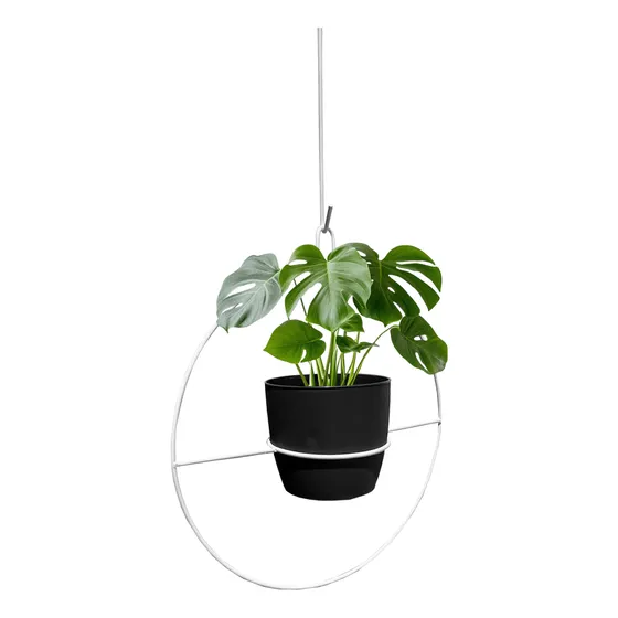Porta Macetas Colgante Redondo Hierro Plantas Industrial