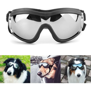 Gafas De Sol Ultravioleta Para Perros Medianos Y Grandes Gafas De Sol Ultravioleta Para Perros Medianos Y Grandes