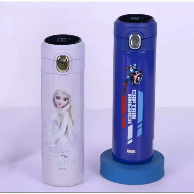 Termo De Agua Temperatura Led 500 Ml Acero Inoxidable316