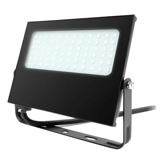 Reflector Led Exterior 50 W Tecnolite Sansuna Iv Luz De Día Color de la carcasa Negro