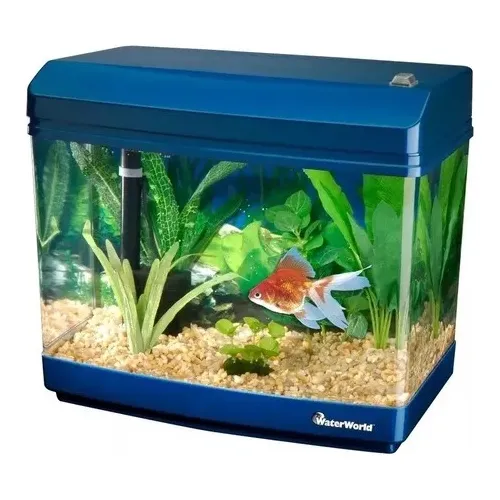 Acuario Acrílico Penn Plax Neptune 4,5 Gal Lampara Filtro