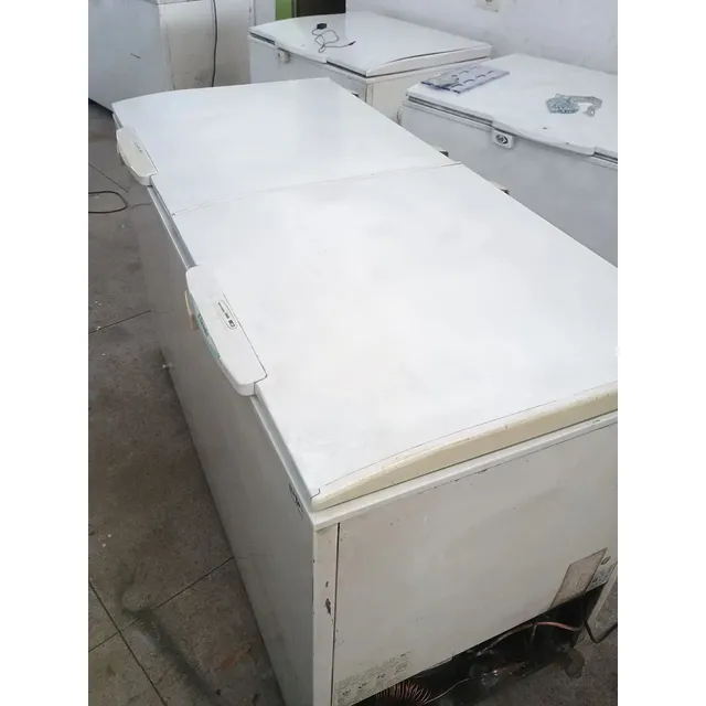 Freezer Horizontal Electrolux 400 Litros 2 Portas 110v