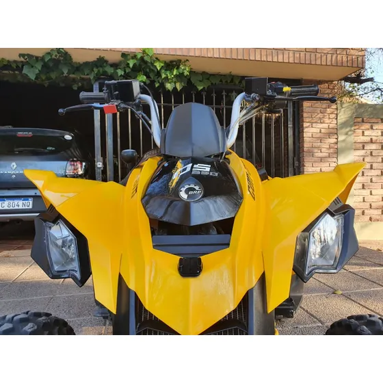 Can Am Ds 250 Con Accesorios  