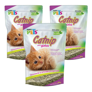 3 Piezas Catnip Atrayente Para Gatos Plus 28 Gr Fancy Pets 3 Piezas Catnip Atrayente Para Gatos Plus 28 Gr Fancy Pets