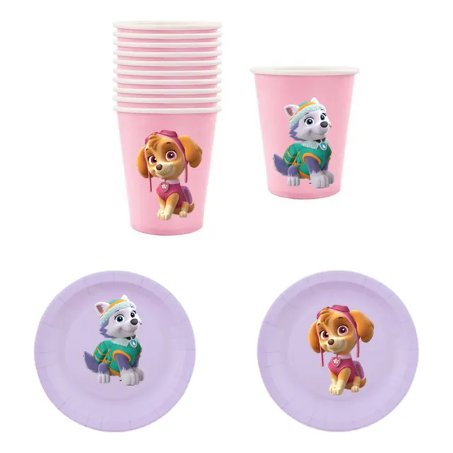 Pack 10 Vasos Y 10 Platos Descartables Skye Everest
