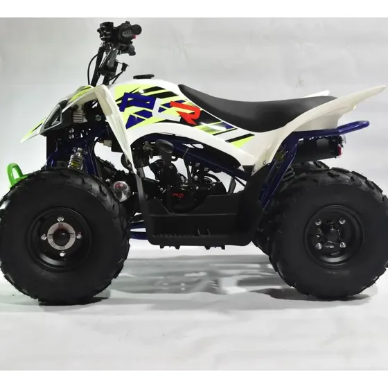 Cuatrimoto Plr Raptor 110 Cc