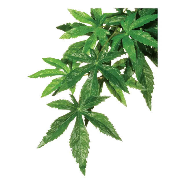 Exoterra Planta Decoracion Para Reptiles Terrarios Large