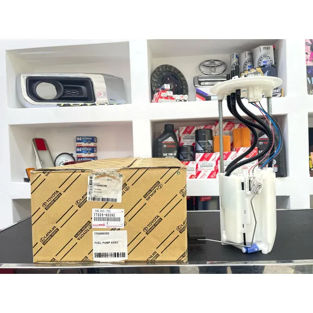 Conjunto Bomba Gasolina Toyota Roraima 100% Original.