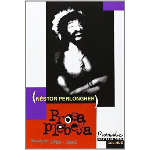 Prosa Plebeya Ensayos 1980-1992 - Nestor Perlongher