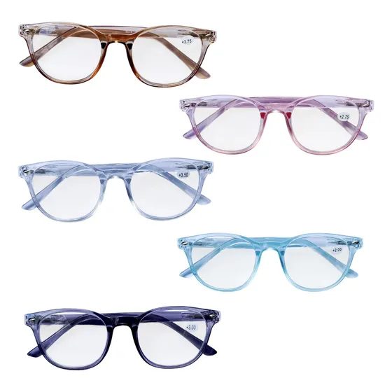 Anteojos De Lectura Unisex 4.00 X Mayor X12