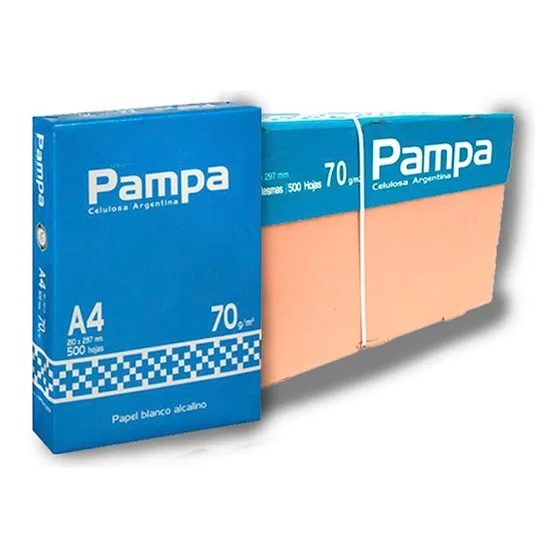 Resmas A4 70 Gr Pampa Caja X10 Unidades Oficina Impresión