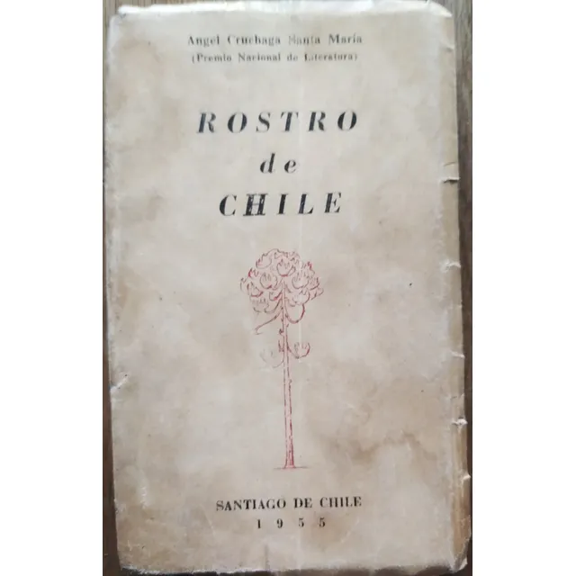 Rostro De Chile - Angel Cruchaga