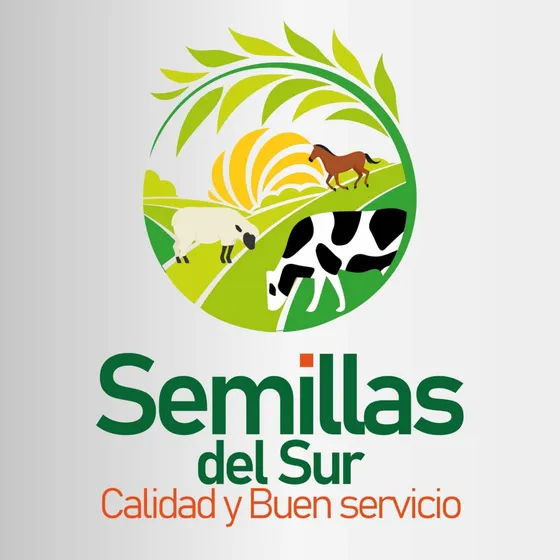 Semilla Vetiver X500 Plantulas