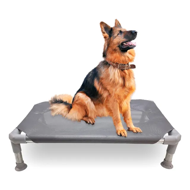 Cama Catre Cucha Mascota Perro Reforzada 100x70cm Desarmable