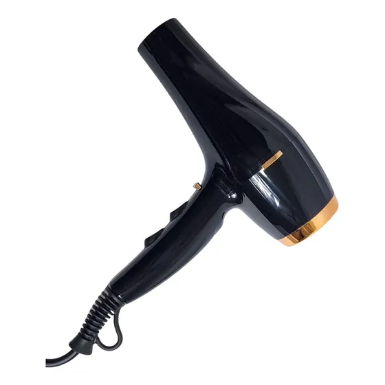 Secador De Pelo Iónico Profesional 2200w Perfetto 220v