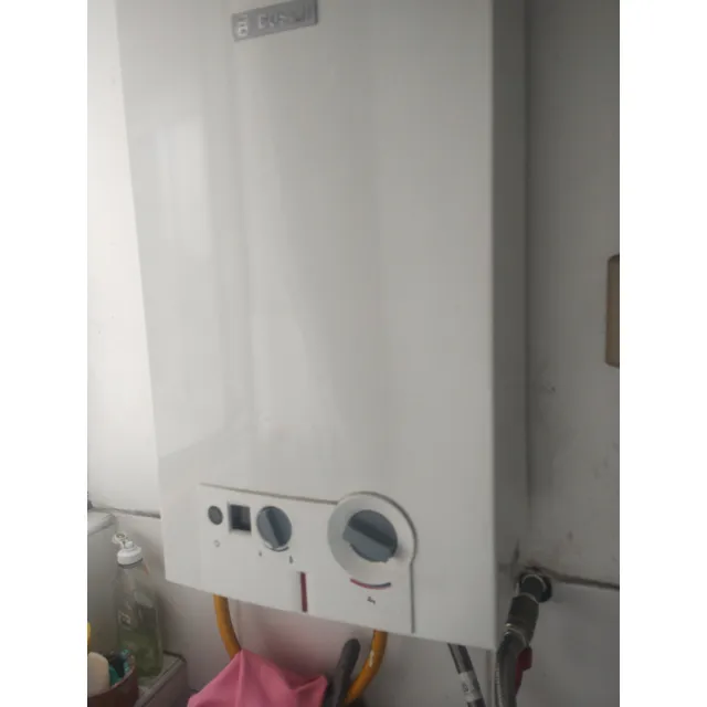 Calentador Gn Bosh 11 Lt - Para Repuestos