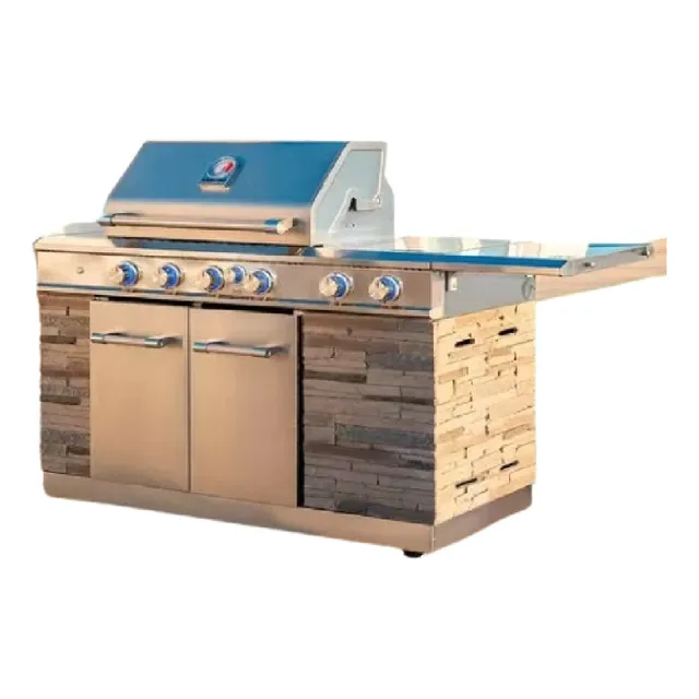 Asador Gas Parrillas Exterior Acero Inoxidable