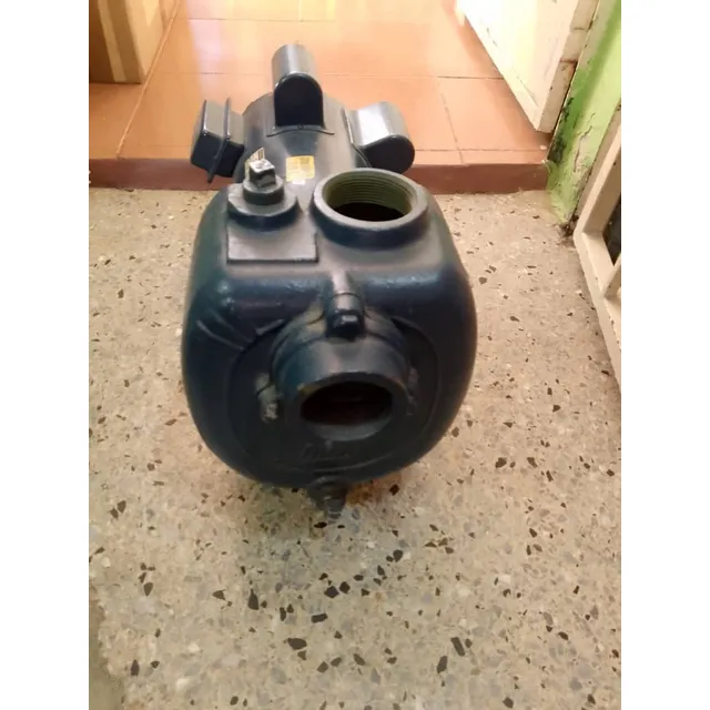 Bomba De Agua Autocebante De 3hp Marca Ihm Monofasica