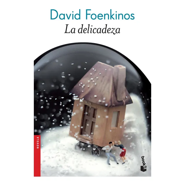 Delicadeza, La - David Foenkinos
